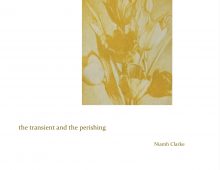 the transient and the perishing – Niamh Clarke