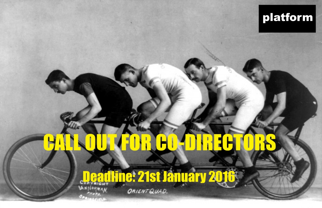 Callout for co-directors