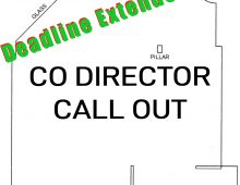 Co-Director Call Out 2021